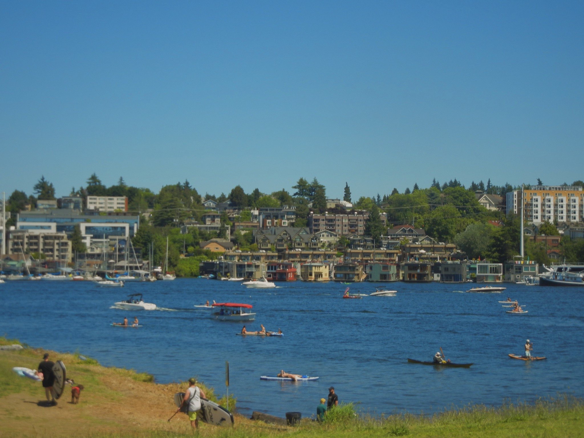 Lake Union Boats